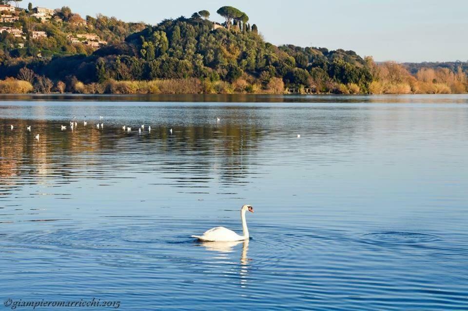 Pepe Apartment -Lago Di Bracciano Trevignano Romano Exteriér fotografie